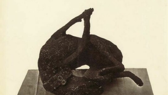 Achille Mauri “Squelette d`un chien”c. 1875, albumen print (from glass negative), 20 x 25,9 cm