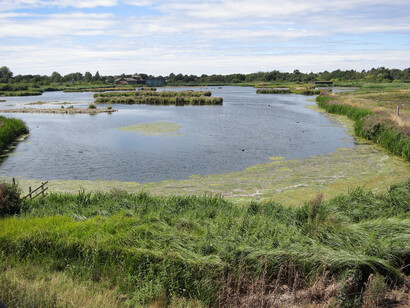View from Peacock Tower Hide, London Wetland © Gehan de Silva Wijeyeratne