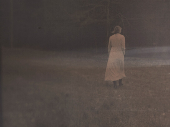 Patricia Heal, Dashwood, 2014 , giclee print
