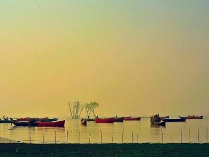 Many bengal boats at Halisahar