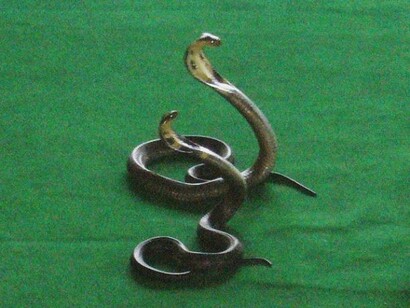 Las serpientes han sido el símbolo de la medicina desde tiempos inmemoriales