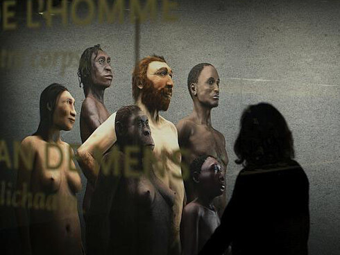 Gallery of Humankind. Courtesy of Royal Belgian Institute of Natural Sciences