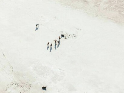 Zack Seckler, Moving West 2009