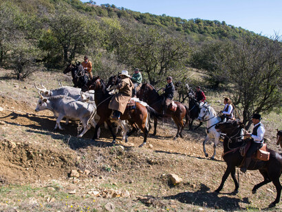 Transumanza a Mignone