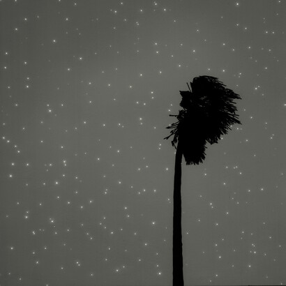 Vanessa Marsh, Landscape #17r, 2013, Limited editions available in 20 x 20, 30 x 30, and 40 x 40 inches