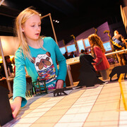 Math Moves! Courtesy of Museum of Science