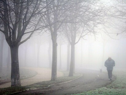 Paseando entre la niebla