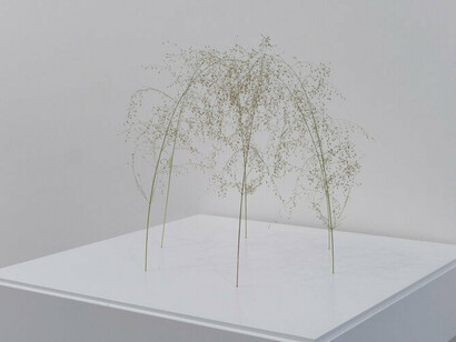 Kuppel, 2020, grass stalks, foto Amedeo Benestante