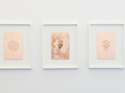 Antidotes and their Counterparts. Courtesy of Häusler Contemporary ©Mischa Scherrer