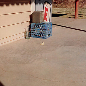 William Eggleston. Courtesy of Metropolitan Museum of Art
