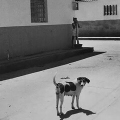 Francis Murphy. Courtesy of Kate Oh Gallery