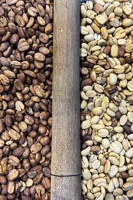 Sun-dried Arabica beans shine in their natural form, showcasing the dedication of local farmers and roasters