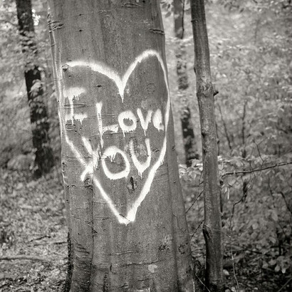 Gordon Stettinius, I Love You, US Route 1, MD, 2010 