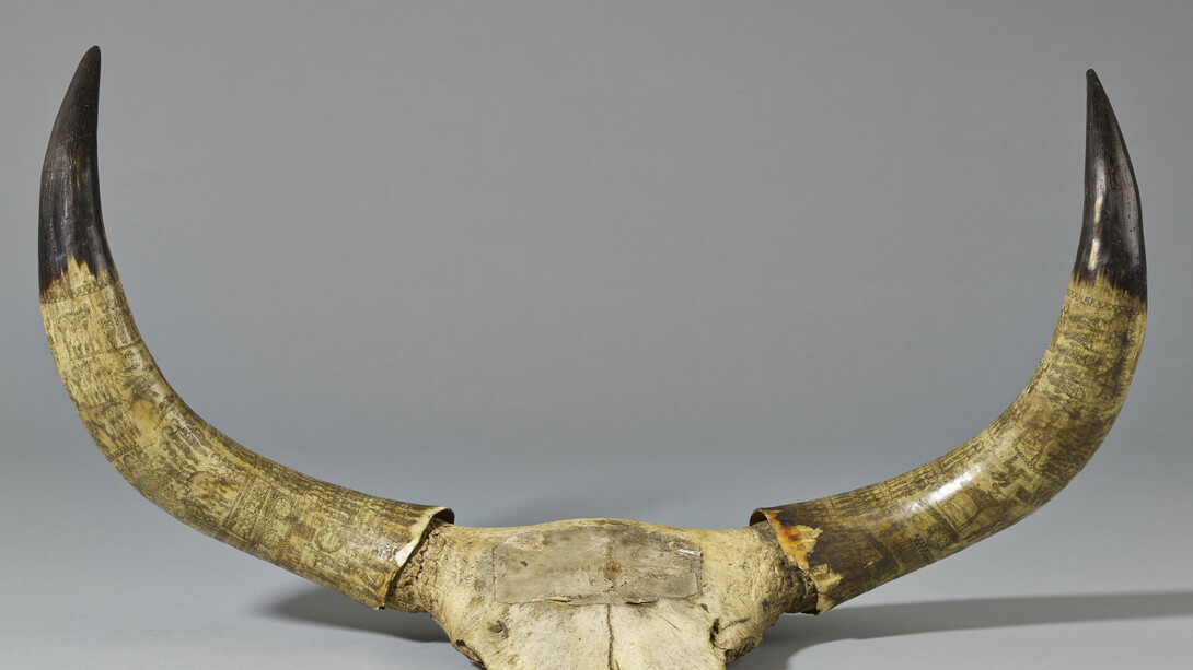 Zulu carved ox horns, South Africa, Late 19th Century Photo © The Trustees of the British Museum