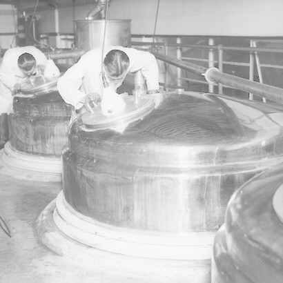 Un moment du processus de pasteurisation