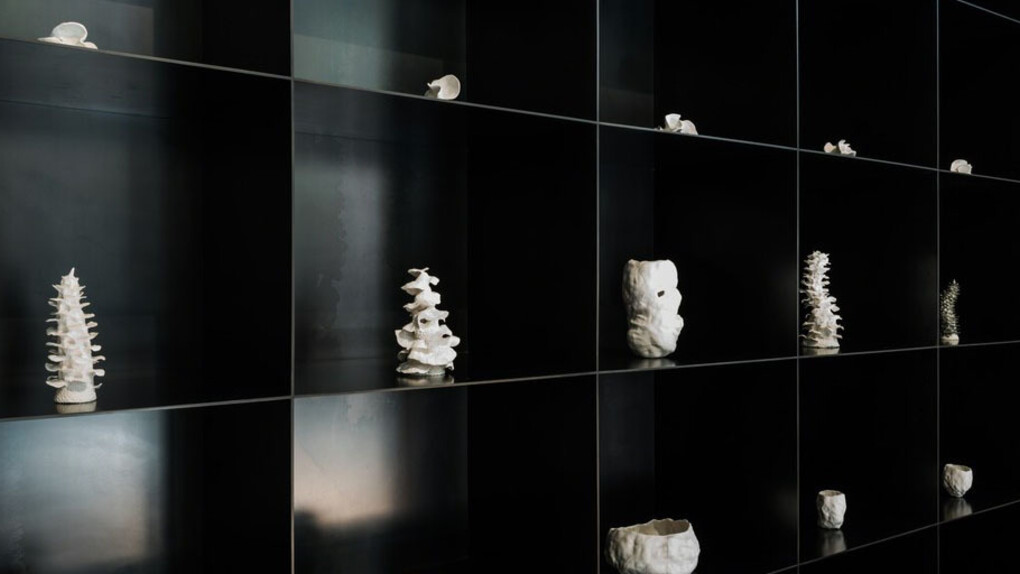 Surfaces & Insides. Courtesy of Sage Culture