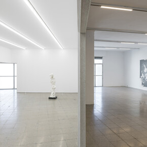 The Swamp of Forever. Courtesy of Nogueras Blanchard