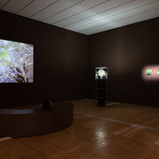 Echoes of the past, promises of the future, exhibition view. Courtesy of MacLyon