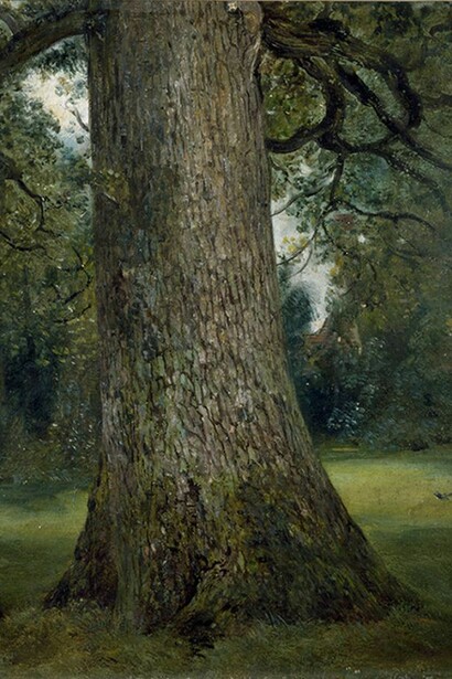 Study of the Trunk of an Elm Tree, John Constable, about 1824, oil on paper. © Victoria and Albert Museum, London