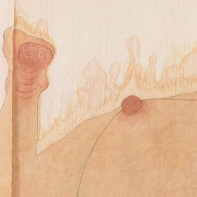 Seung Ah Paik, Autolandscape, detail, Pigment, charcoal, and rabbit skin glue on canvas, 400 x 720 cm, 2012-13