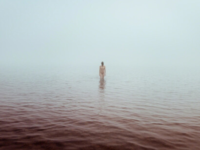 Liberation. Courtesy of Bruce Lurie Gallery