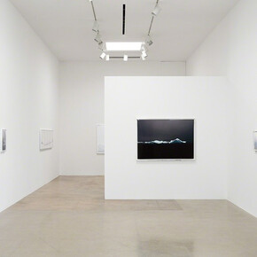 Liza Ryan. Courtesy of Kayne Griffin Corcoran