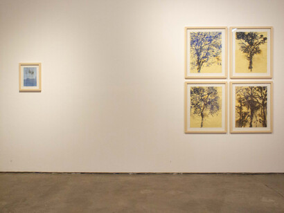 Matías Toro, Retorno a lo eterno, vista de exhibición. Cortesía de ABRA