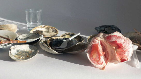 Still Life. Courtesy of Museion