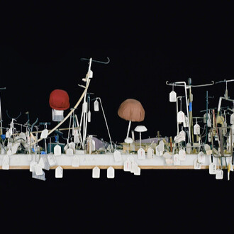 Catherine Wagner. Courtesy of Anglim Gilbert Gallery