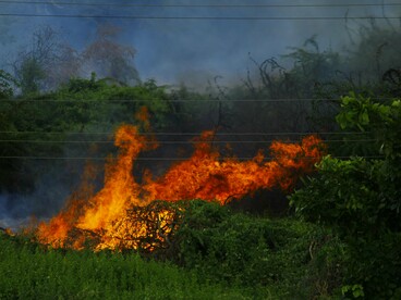 Área extensa de floresta em chamas, com o céu tomado pela fumaça. A imagem evidencia o impacto ambiental e a negligência denunciada no texto