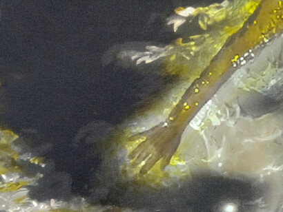 Christine Barbe, Panoramic, series, L’imaginaire des lieux (Imaginary places), 2014/2015 Paint, ink, ballpoint pen and mixed media on photograph, printed on canvas, 70 x 140 cm Courtesy Galerie Eric Mouchet