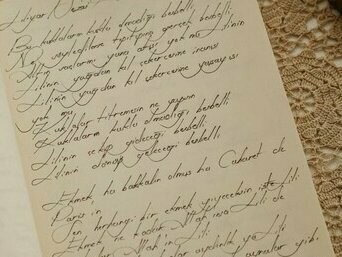 Os gêneros literários podem se manifestar em prosa, isto é, expressos sem metrificação e ritmo regular como o conto, o romance e a novela, ou em versos como a poesia. Os versos podem apresentar metrificação regular ou não. Podem ou não apresentar rimas. Há metrificação regular quando todos os versos do poema têm o mesmo número de sílabas métricas

