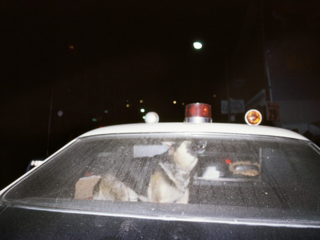 Jim Jocoy. Courtesy of Casemore Kirkeby 