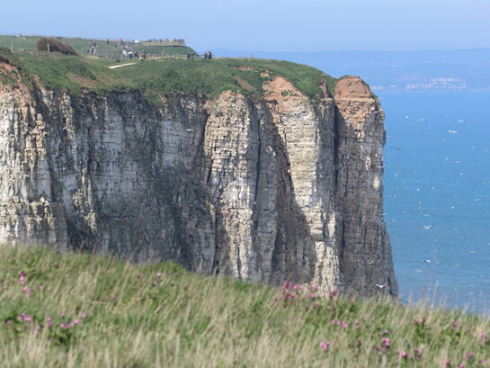 Birdwatchers on the cliff tops at Bempton Cliffs (c) Gehan de Silva Wijeyeratne