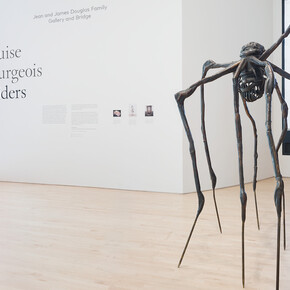 Louise Bourgeois Spiders. Courtesy of San Francisco Museum of Modern Art