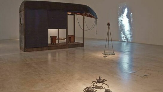 Dorothy Cross, Connemara, Installation view, Photo Stephen White