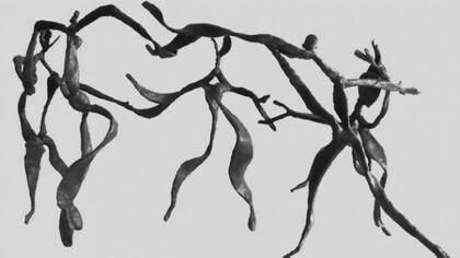 Pascal Pistacio, Une danse