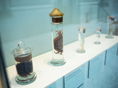 Expedition of the National Museum, exhibition view. Courtesy of Historical Building of the National Museum