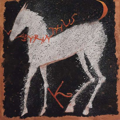 Cavallo - Foto di Valeria Nonni