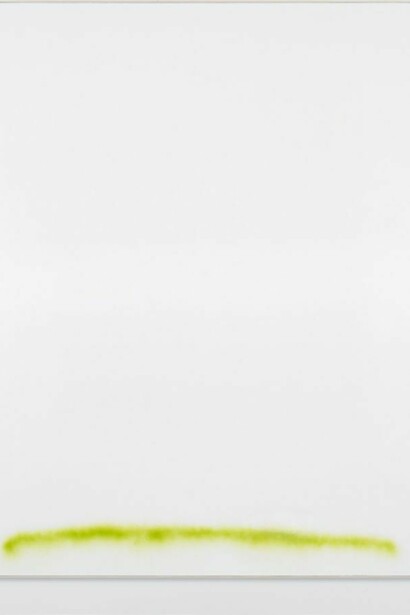 David Ostrowski, F (Landscape), 2013, gesso and lacquer on canvas, wood, 94 7/8 x 75 1/4 in. (241 x 191 cm)