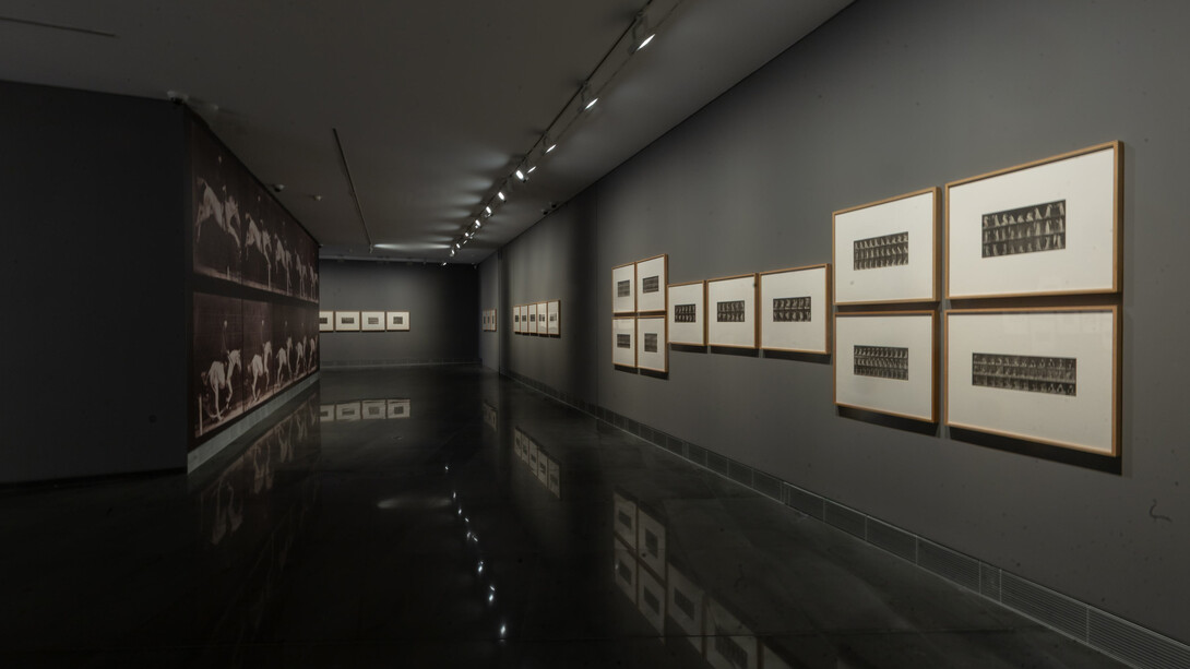 Eadweard Muybridge, exhibition view. Courtesy of Museo Universidad de Navarra