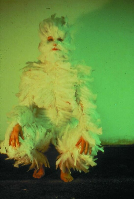 Ana Mendieta, Bird Transformation, 1972, Lifetime colour photograph, 25.5 x 20.5 cm, © The Estate of Ana Mendieta Collection, Courtesy Galerie Lelong, New York