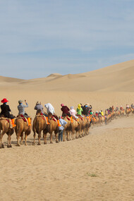 The Silk Road spirit is a historic and cultural heritage shared by all countries around the world