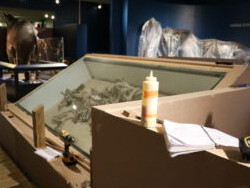 Age of Mammals: The Cenozoic Era. Courtesy of Carnegie Museum of Natural History
