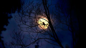 ¿A qué llamamos "estilo barroco" cuando nos referimos a la palabra escrita?