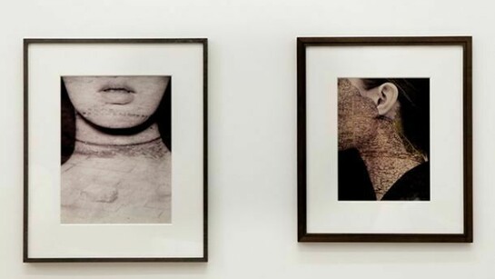 Raphael Danke I En Belgique, Untitled, 2013
Untitled, 2012, Courtesy the artist and Motinternational Brussels and London
