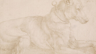 Albrecht Dürer. A Dog Resting (recto) 1520. Silverpoint over traces of carbon black on pale pink prepared paper 12.8x18 cm. On loan from The British Museum, London