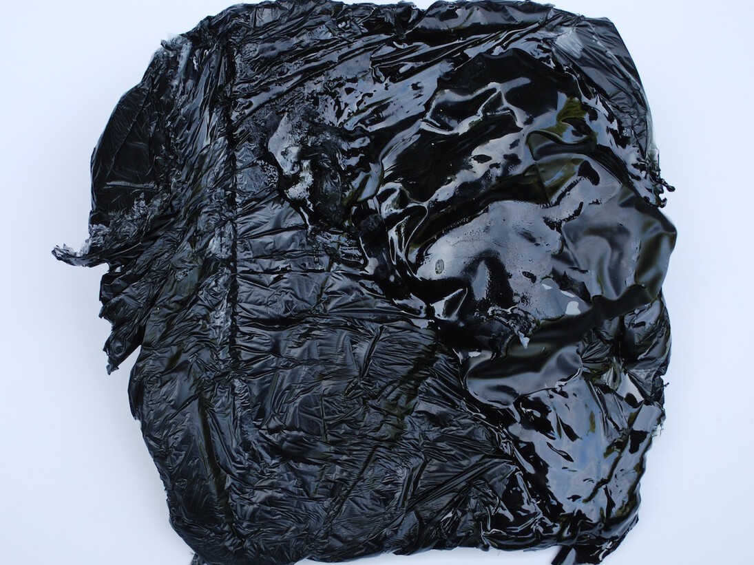 John Tallman, Merel, 2015, pigmented urethane plastic, 10.5”x10”