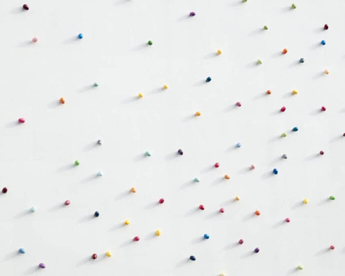 Pascale Marthine Tayou. Courtesy of The Bass 