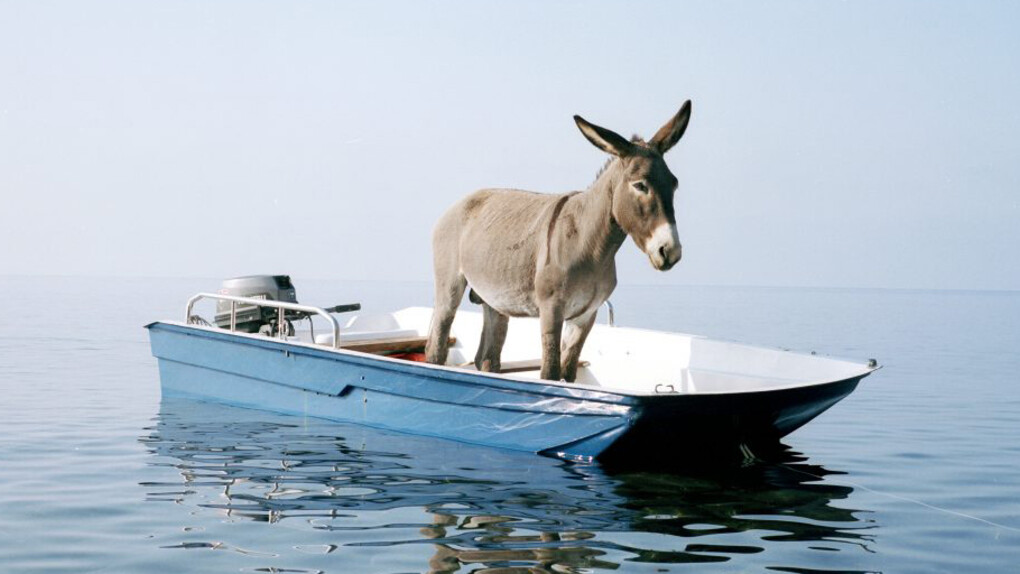 Paola Pivi. Courtesy of The Bass